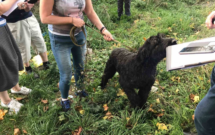 Rasta dar viena šunų pragaro vieta: laikyti išmatomis ir šlapimu užterštose patalpose