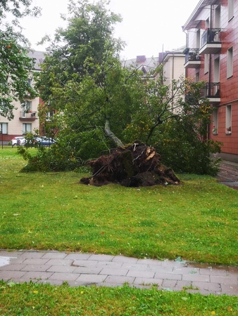 Šalį talžo liūtis, virsta medžiai