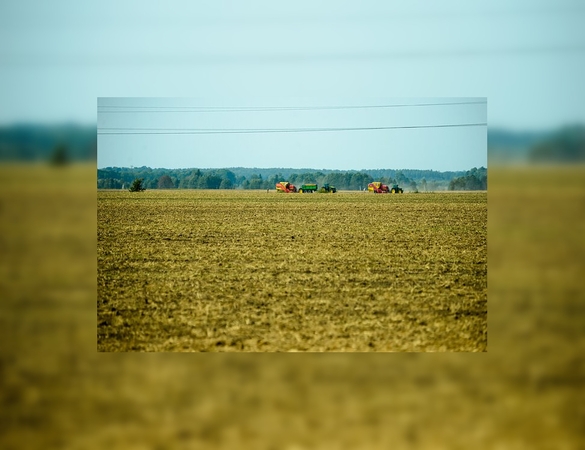 Nuo kitų metų Kauno rajone keisis nekilnojamojo turto mokesčiai