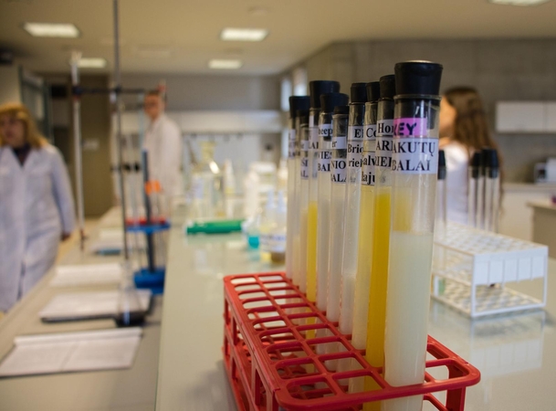 Veterinarinė maisto sauga - magistro studijos
