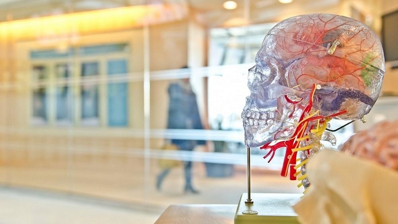 3D technologijos medicinoje: reikiamą organą tiesiog atspausdins 