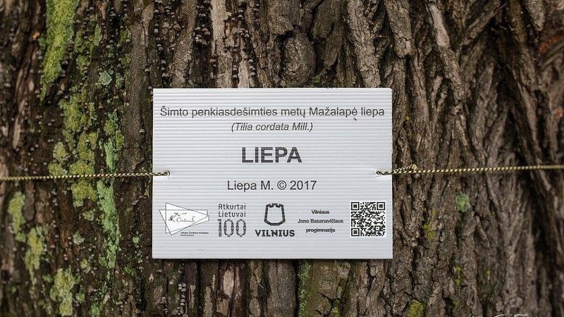 Gamtos puoselėtojai medžiams suteikė vardus 