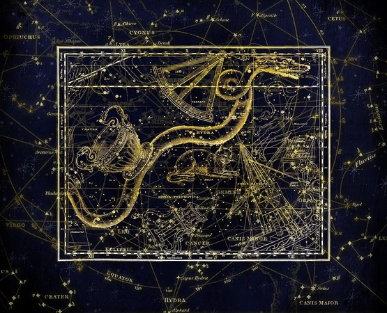Dienos horoskopas 12 zodiako ženklų (birželio 24 d.)
