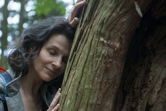Kauno kino festivalyje – naujausias režisierės N. Kawase filmas