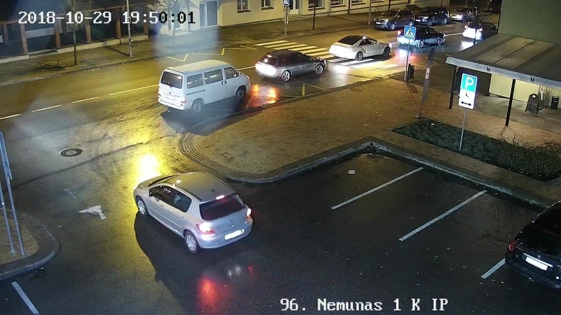 Užfiksuota baisi šuns mirtis pėsčiųjų perėjoje: vairuotoja nė nesustojo