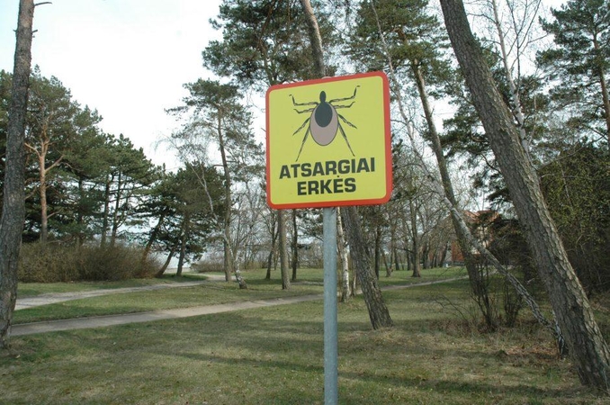 Erkės klaipėdiečius baugina ligomis