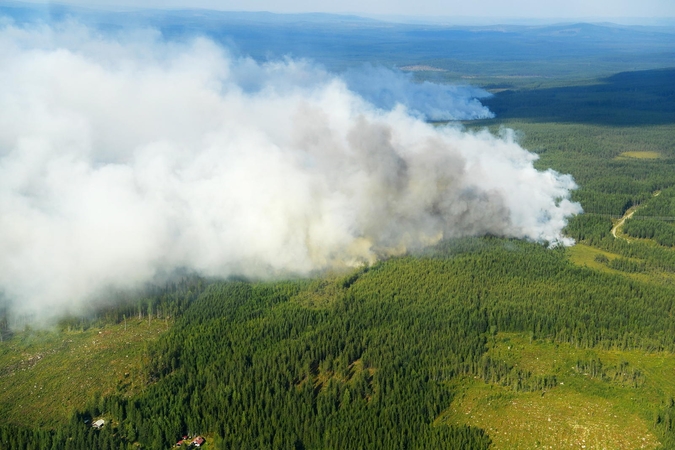 Rizika Švedijoje: baiminamasi dėl miškų gaisrų kilimo