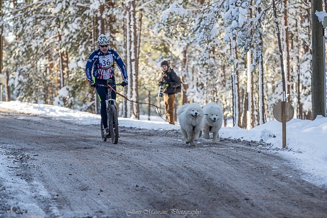 Pasirinkimas: šunų kinkinių sporte H.Skibiniauskas suderina du savo pomėgius – dviračius ir augintinius šunis.