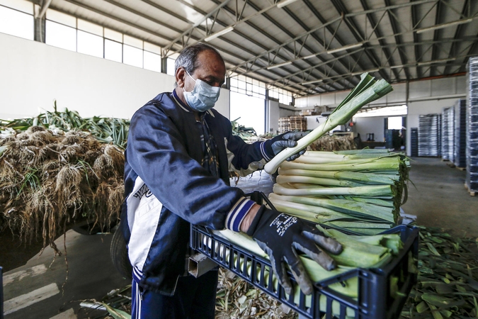 Patvirtintos papildomos EK priemonės žemės ūkio maisto produktų sektoriui remti