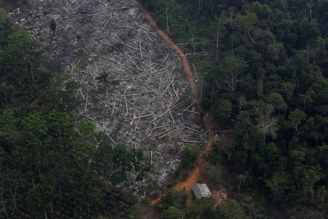 Brazilijos Amazonės atogrąžų miškų kirtimo mastai – didžiausi per dešimtmetį