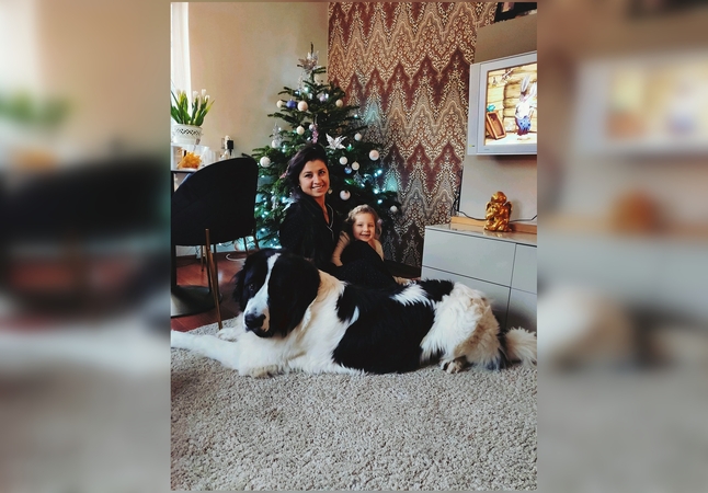 Pasirinkimas: jei ieškote draugo vaikams ir namų ramybę palaikančio meškino, I.Šarauskienės nuomone, – landsyras idealiai tinka.