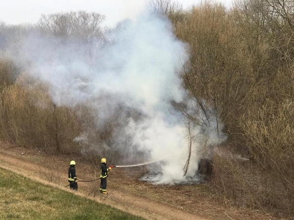 Marvelės gatvėje degė medis ir pievos aplink jį