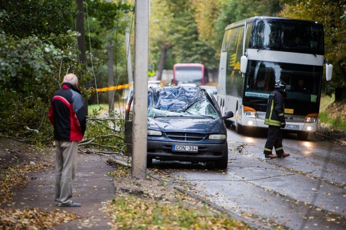 Kaip elgtis siaučiant smarkiam vėjui?