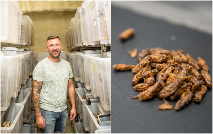 Galimybės: pasak direktoriaus D.Glušausko, bendrovė "Acheta" pajėgi pagaminti apie 200 kg svirplių produktų.