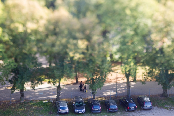 Sostinės miško aikštelėje – smurtas ir apiplėšimas