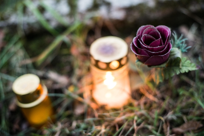 Nupjautas medis mirtinai sužalojo vyrą
