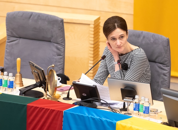 V. Čmilytė-Nielsen: nereikia savęs gąsdinti, kad Lietuva taps pereinamuoju Rusijos kiemu
