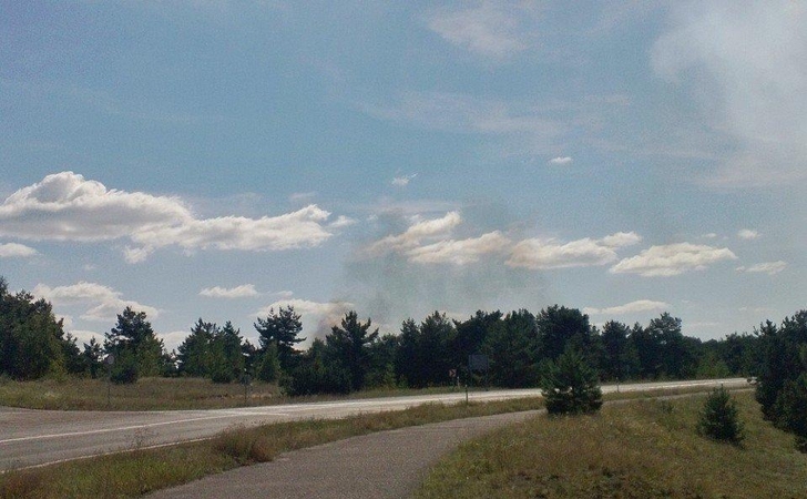Kuršių nerijos miškais rūpinsis Kretingos miškų urėdija
