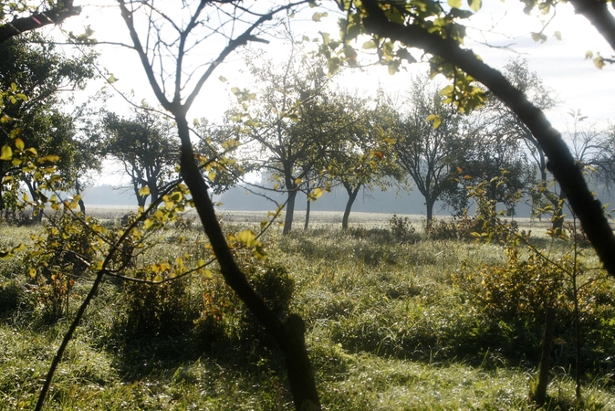Kitą savaitę pajūryje švies saulė, pasitaikys ir lietaus, tačiau orai nuotaikos negadins.