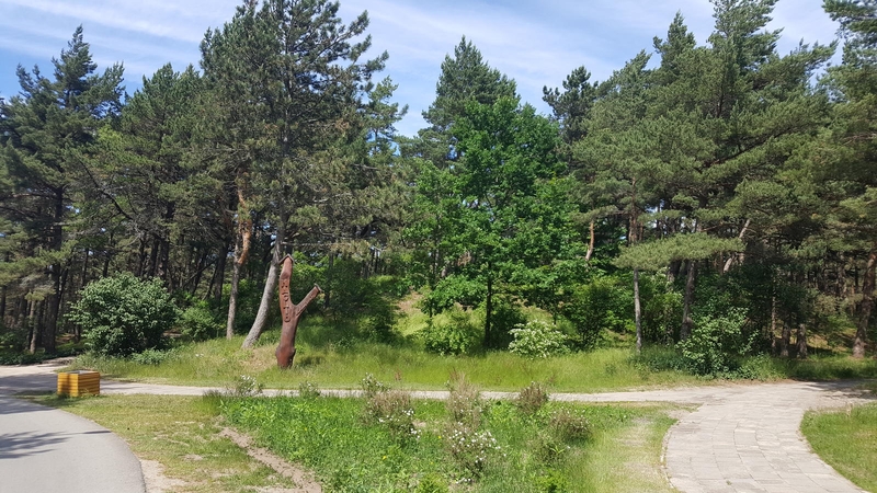 Naujas: prieš dvejus kurorto tautodailininkai Albertas ir Linas Žulkai vietoje sutrešusio stogastulpio sukūrė ženklą iš ąžuolo.