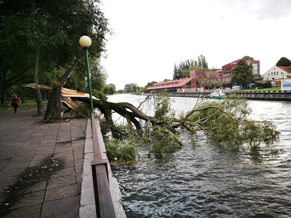 Ruduo: sinoptikai artimiausiomis dienomis prognozuoja šiltą ir lietingą orą.