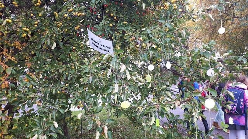 Pasistengė: estai ant medžių pakabino gausybę atšvaitų.