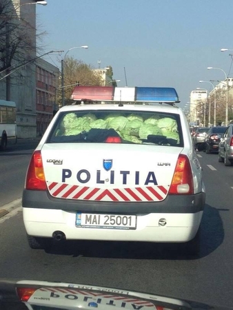 Gardumynas: rauginti kopūstai – labai skanu, net policininkai juos mėgsta.