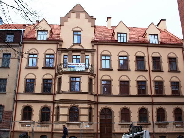 Bjaurusis ančiukas virto įspūdingo grožio gulbe