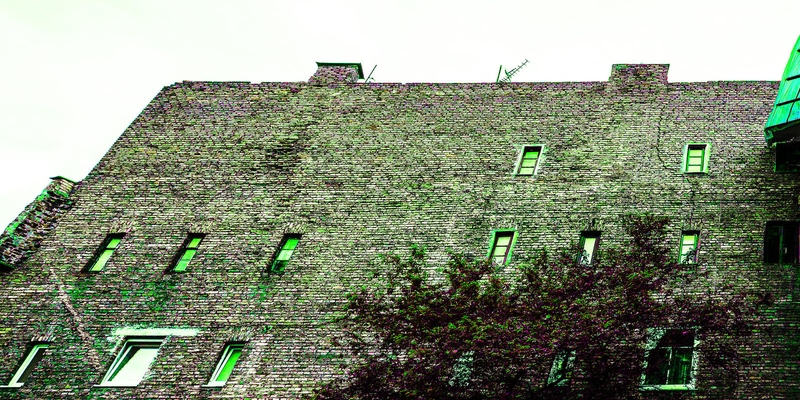 K.Lupeikis. Siena. 2015.
