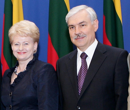 Apklausa: rinkimuose nugalėtų D. Grybauskaitė, Z. Balčytis liktų antras