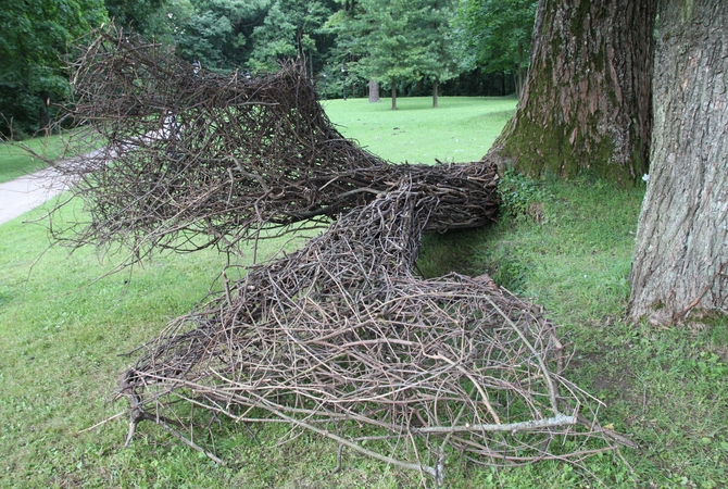Į Raudondvarį vėl atkeliaus Žemės meno festivalis