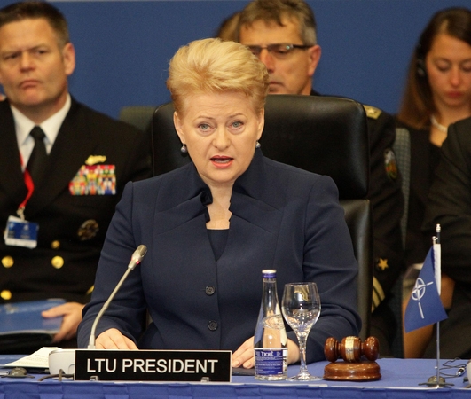 Prezidentė perspėja: Europoje vadovavimą perima V. Putinas