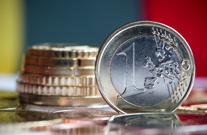 R. Vainienė: valdžia su finansais elgiasi kaip su greitaisiais kreditais