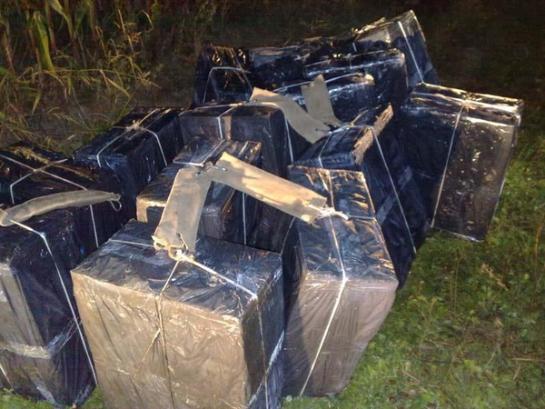 Pasieniečių užklupti cigarečių kontrabandininkai slėpėsi kukurūzų lauke