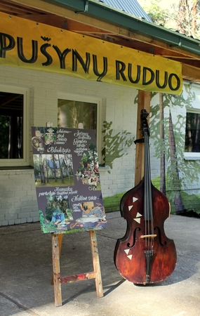 Nuskambėjo „Kulautuvos pušynų ruduo“