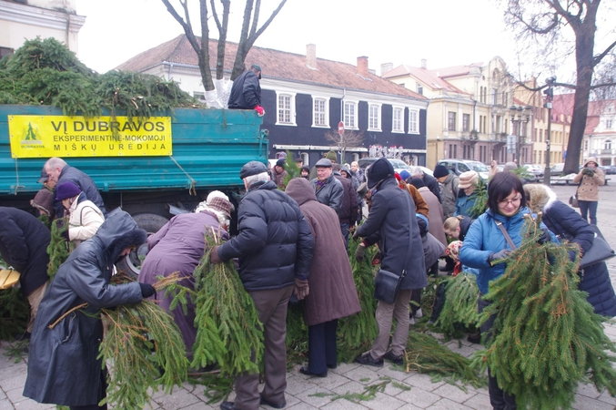 Tikisi, kad kauniečiai neis į miškus su kirviais ir pjūklais