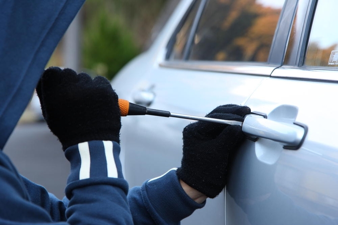 Statistika: vagis domina „Volkswagen“