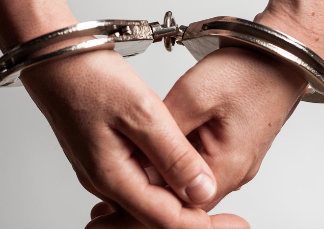 Tragišką avariją Kauno rajone sukėlęs lenkas suimtas mėnesiui