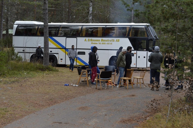 Nusivylę migrantai bijo gyventi Švedijos miškų glūdumoje