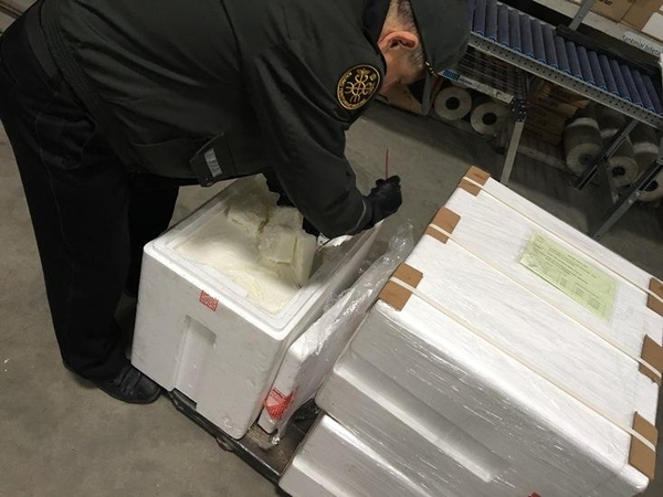 Po taukų lydiniu – kontrabandinės cigaretės