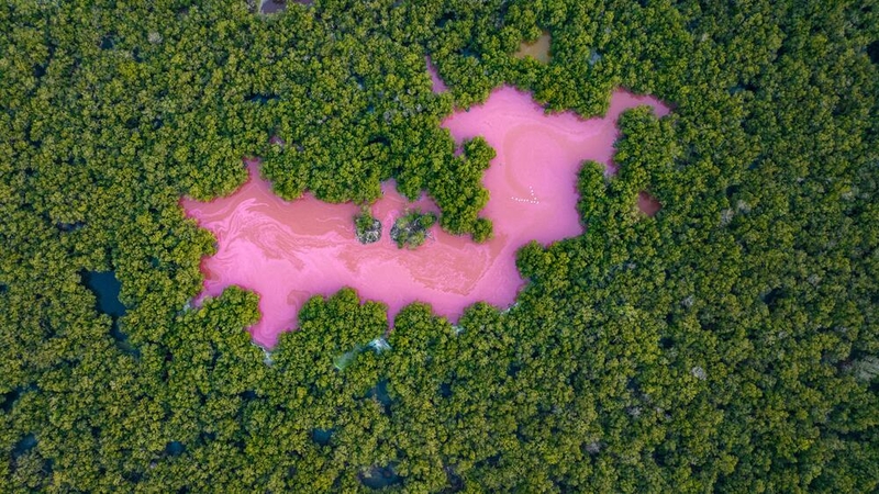Keistenybės: rausvi ežerai paprastai siejami su Australija ir Meksika, tačiau Europoje yra keletas rausvų ežerų, įskaitant vieną mažai žinomą vietą Turkijoje.