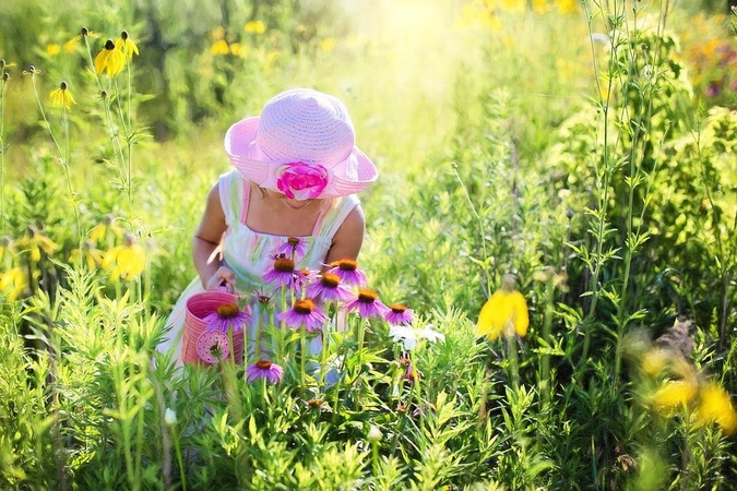 Orai: po lietingo savaitgalio temperatūra vėl šoktels aukštyn