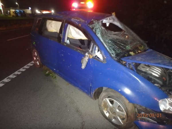 Girtas vairuotojas nusprendė savo automobiliu „apgenėti“ medžius