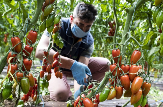 Italijoje vėl padidėjo užsikrėtimo koronavirusu skaičiaus paros prieaugis