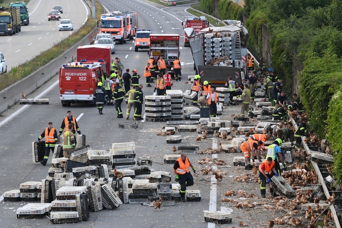 Austrijos automagistralėje eismą blokavo tūkstančiai vištų