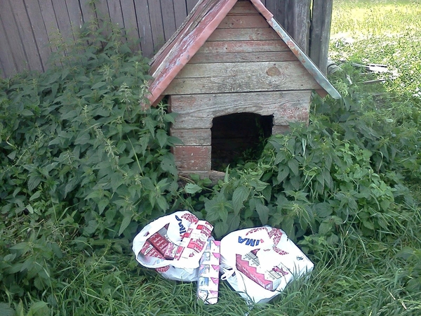 Trakiškis cigaretes slėpė šuns būdoje