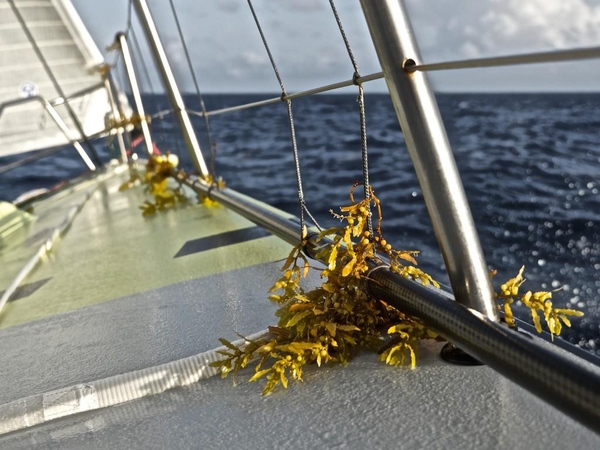 Greičio kovoje „Team Brunel“ išsiveržė į priešakines linijas
