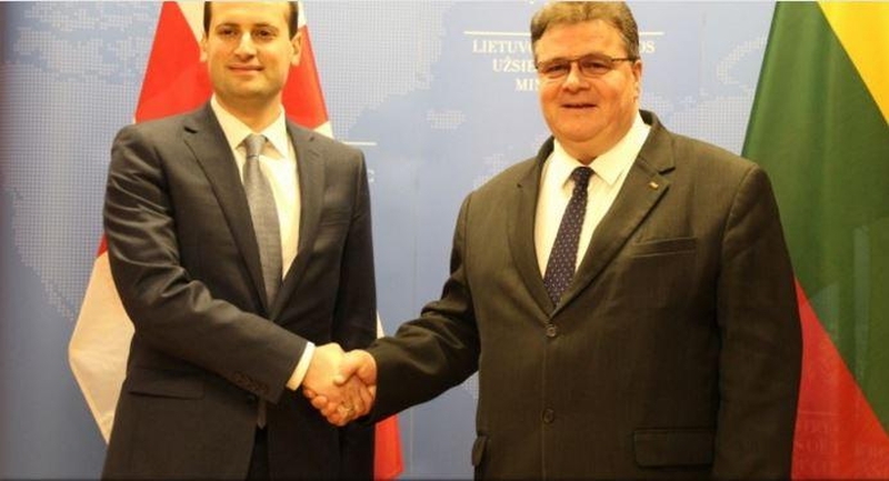 Vilniuje viešintis Gruzijos ministras tikisi bevizio režimo