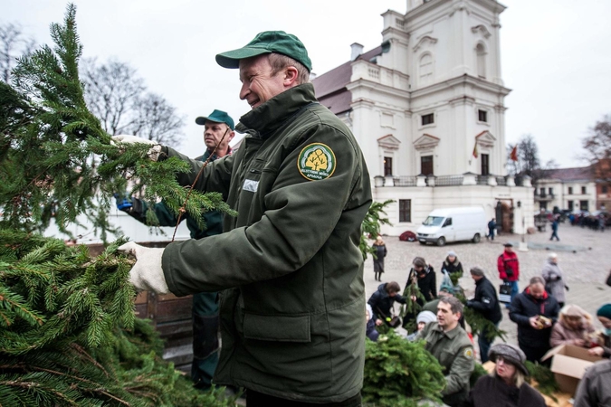 Rotušės aikštėje – azartiškos eglišakių dalybos