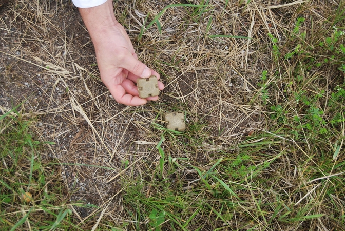 Radus jauką su vakcina – neliesti